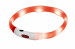 HILTON LED silikonový 1,4x0,8x40 cm s USB - obojek pro psy - Fotogalerie 1