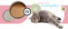 3COTY Senior MIX 3 příchutí – mokré krmivo pro kočky – 18x80g - Fotogalerie 19