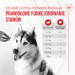 ROYAL CANIN Supplements Dog Joint & Ageing Adult - vitamíny pro psa - 240g - Fotogalerie 15