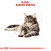 Royal Canin FBN Maine Coon Adult - suché krmivo pro dospělé kočky - 4kg - Fotogalerie 4