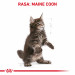 ROYAL CANIN Maine Coon Kitten - suché krmivo pro kočky - 2 kg - Fotogalerie 7