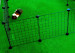  C&C Modulární výběh pro psy 180x75 cm - Fotogalerie 13