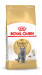 Royal Canin British Shorthair Adult suché krmivo pro kočky 4 kg Dospělý jedinec - Fotogalerie 9