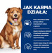 HILL'S PD Canine Derm Complete - mokré krmivo pro psy - 370g - Fotogalerie 2