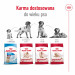 ROYAL CANIN Adult Medium - suché krmivo pro psy - 4kg - Fotogalerie 4