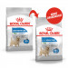 Royal Canin CCN MINI LIGHT WEIGHT CARE - suché krmivo pro dospělé psy - 3kg - Fotogalerie 3