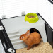 FERPLAST Casita 120 - Klec - 119x58 cm - Fotogalerie 5