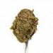 3COTY Chicken with spirulina - mokré krmivo pro kočky - 80g - Fotogalerie 6