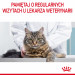 ROYAL CANIN Hairball Care Adult - suché krmivo pro kočky - 400g - Fotogalerie 4