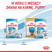 ROYAL CANIN SHN Mini Starter Mother & Babydog - suché krmivo pro psy - 4 kg - Fotogalerie 4