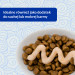 INABA Churu Skin&Coat Chicken recipe - pamlsek pro kočky - 4x14 g - Fotogalerie 5