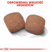 ROYAL CANIN Giant Adult - suché krmivo pro psy - 15 kg - Fotogalerie 4