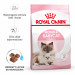Royal Canin Mother & Babycat suché krmivo pro kočky 2 kg - Fotogalerie 11