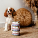 PERRO Junior Turkey and pumpkin - mokré krmivo pro psy - 410g - Fotogalerie 4