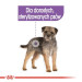 Royal Canin CCN Sterilised Loaf - mokré krmivo pro dospělé psy - 12x85g - Fotogalerie 8
