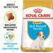 Royal Canin SHN Breed Jack Russell Junior - Suché krmivo pro psy Drůbež, Rýže - 3 kg - Fotogalerie 9