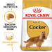 ROYAL CANIN Adult Cocker - suché krmivo pro psy - 12 kg - Fotogalerie 8