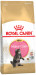 ROYAL CANIN Maine Coon Kitten - suché krmivo pro kočky - 2 kg - Fotogalerie 10