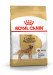 ROYAL CANIN BHN Golden Retriever suché krmivo pro psy - 12kg - Fotogalerie 1