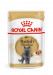 ROYAL CANIN British Shorthair balení 12x85g - Fotogalerie 1
