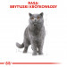 Royal Canin British Shorthair Adult suché krmivo pro kočky 4 kg Dospělý jedinec - Fotogalerie 8