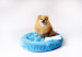 GO GIFT Shaggy blue M - pelíšek pro domácí mazlíčky - 57 x 57 x 10 cm - Fotogalerie 2