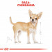 ROYAL CANIN Chihuahua - balení 12x85g - Fotogalerie 9