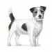 ROYAL CANIN Gastrointestinal Low Fat Small VHN - suché krmivo pro psy - 1,5kg - Fotogalerie 2