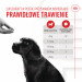 ROYAL CANIN Supplements Dog Immunity & Digest Puppy - vitamíny pro psa - 100g - Fotogalerie 14