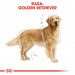ROYAL CANIN BHN Golden Retriever suché krmivo pro psy - 12kg - Fotogalerie 7
