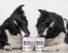 RAW PALEO Adult Monoprotein Beef - mokré krmivo pro psy - 800 g - Fotogalerie 2