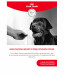 ROYAL CANIN Supplements Dog Digestion Adult - vitamíny pro psa - 160g - Fotogalerie 12