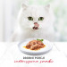 GOURMET Mon Petit Poultry Mix - mokré krmivo pro kočky - 6 x 50 g - Fotogalerie 8