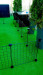  C&C Modulární výběh pro psy 180x75 cm - Fotogalerie 12