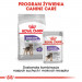 Royal Canin CCN MINI STERILISED - suché krmivo pro dospělé psy - 8kg - Fotogalerie 2