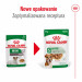 ROYAL CANIN Mini Ageing - mokré krmivo pro psy - 12 x 85g - Fotogalerie 7
