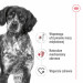 ROYAL CANIN SHN Medium Adult in sauce - vlhké krmivo pro dospělé psy - 10x140g - Fotogalerie 6