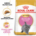 Royal Canin British Shorthair Kitten suché krmivo pro kočky 2 kg Kotě Drůbež, Rýže, Zeleninová - Fotogalerie 8