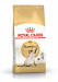 ROYAL CANIN Siamese Adult - suché krmivo pro kočky - 2 kg - Fotogalerie 1