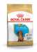 Krmiva Royal Canin SHN Breed Dachshund Jun 1,5 kg - Fotogalerie 1