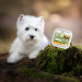 RAW PALEO Pate Mini Adult Turkey - mokré krmivo pro psy - 150 g - Fotogalerie 2
