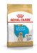 ROYAL CANIN SHN Breed Labrador Junior suché krmivo pro psy - 12 kg. - Fotogalerie 1