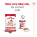 ROYAL CANIN Adult Medium - suché krmivo pro psy - 4kg - Fotogalerie 12