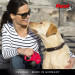 Flexi New CLASSIC 8 m Černá Pes Zatahovací vodítko - Fotogalerie 2