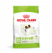 ROYAL CANIN Adult x- small SHN - suché krmivo pro psy - 3kg - Fotogalerie 1