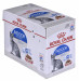 ROYAL CANIN FHN Indoor jelly - vlhké krmivo pro dospělé kočky - 12x85g - Fotogalerie 1