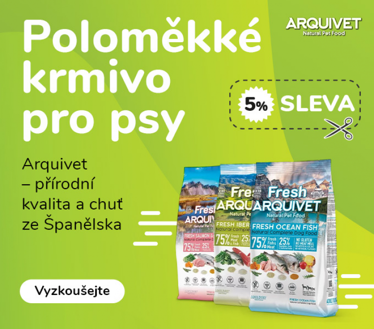 Arquivet