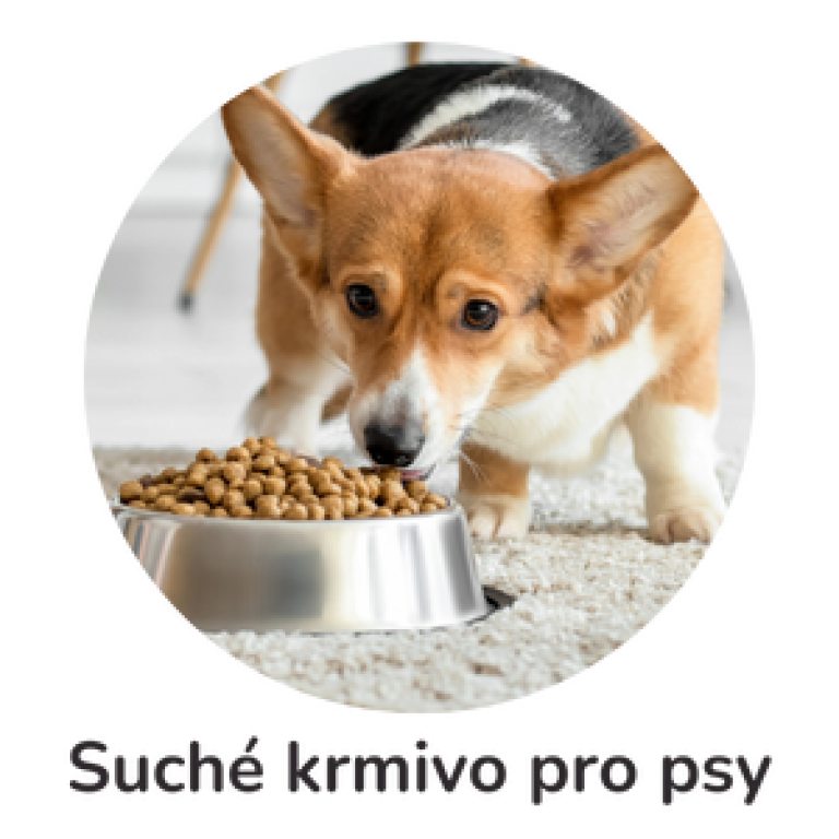 Suché krmivo pro psy