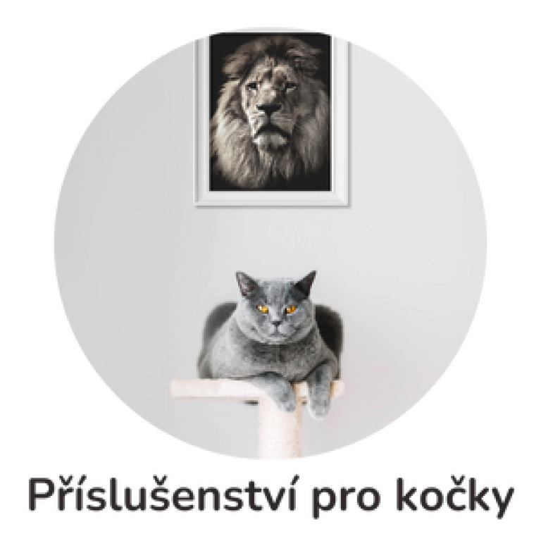 Příslušenství pro kočky