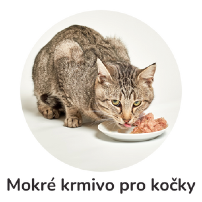 Mokré krmivo pro kočky